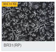 BR31(RP)