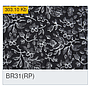 BR31(RP)